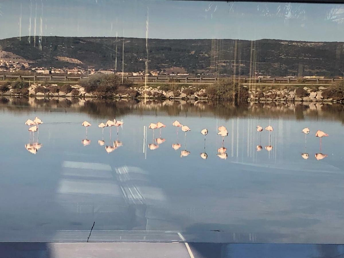 Flamants Roses 3 Фронтіньян Екстер'єр фото